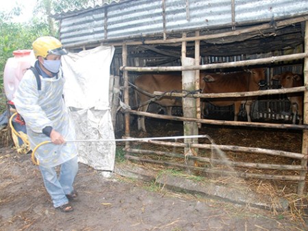 Phòng bệnh cho vật nuôi sau mưa lũ