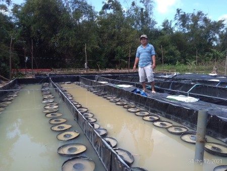 “Khởi nghiệp lại” và thành công với nghề nuôi lươn sinh sản