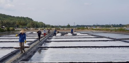 Hỗ trợ phát triển làng nghề sản xuất muối Tuyết Diêm, xã Xuân Bình, thị xã Sông Cầu