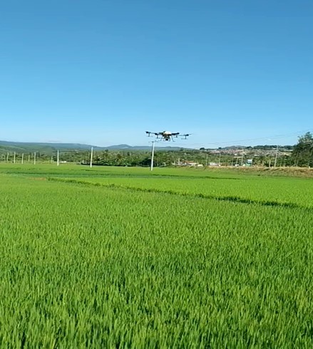 Hợp tác xã Hoà Kiến 2: ứng dụng công nghệ số trong sản xuất lúa