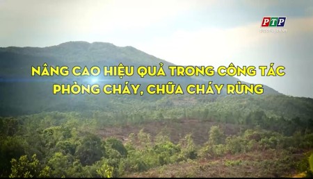 Chương trình Bạn nhà nông tháng 6_2022: Nâng cao hiệu quả công tác phòng, chống cháy rừng trên địa bàn tỉnh Phú Yên